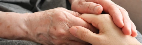 FP相談付申告パック